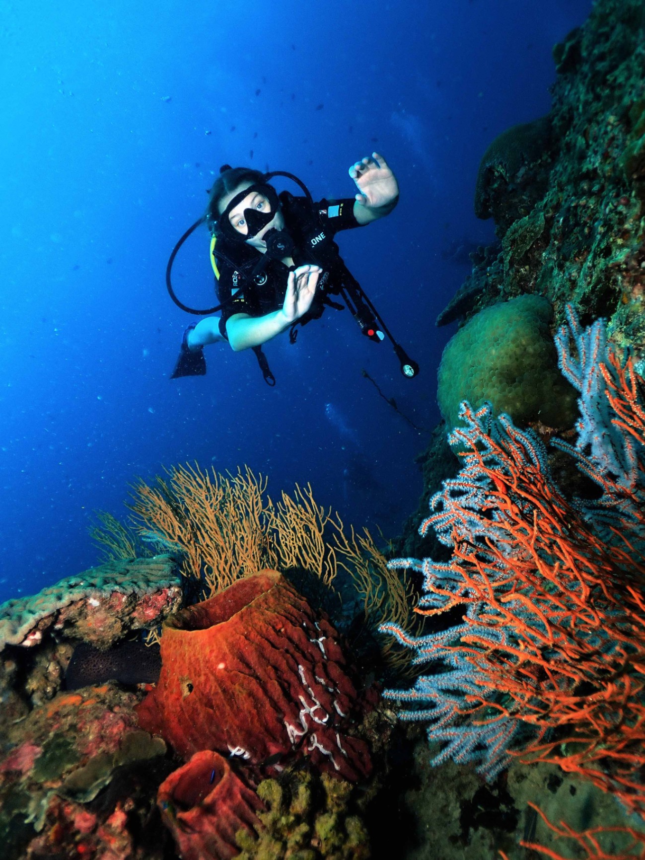 Reef wall