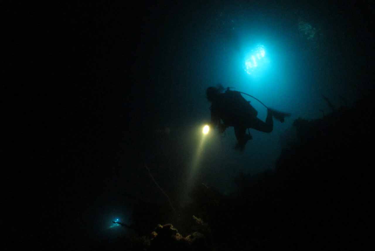 Night Dive