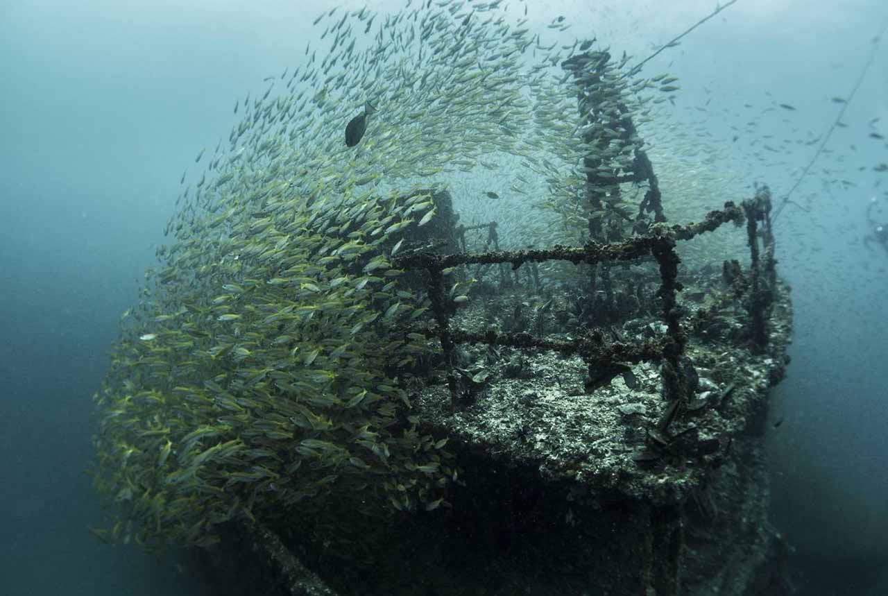 Wreck Dive