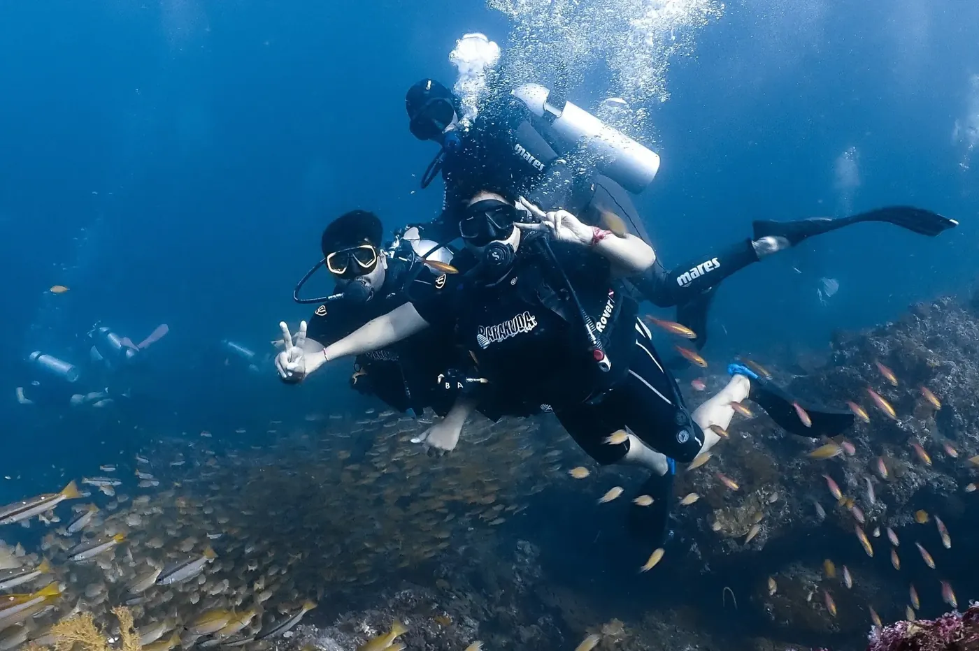 Beginner Divers